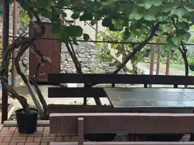 Прибрежный - 5