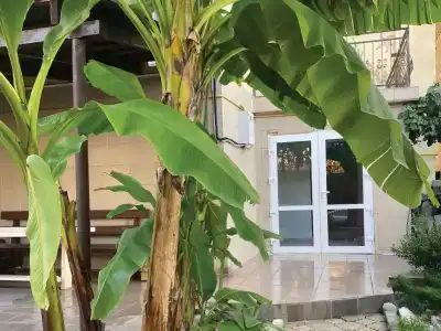 Прибрежный - 4