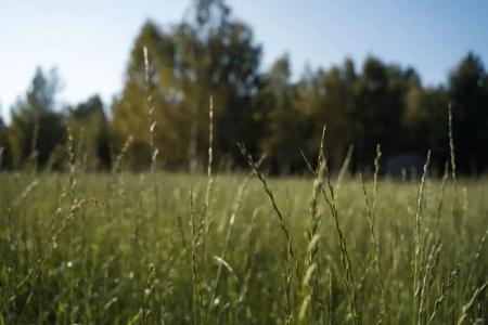 Кривец Хаус - 17