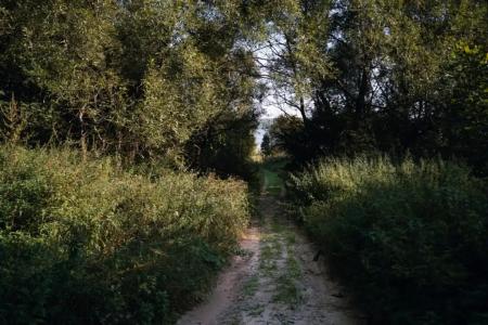 Кривец Хаус - 19