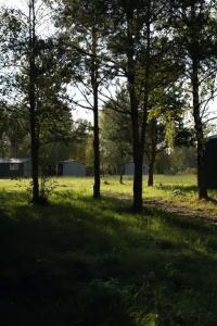 Кривец Хаус - 32