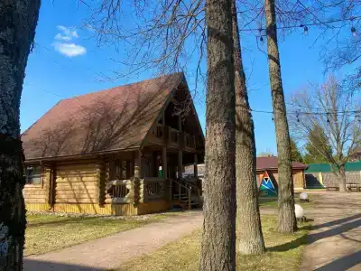 Пан-фазан - 41
