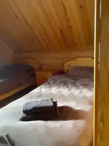 Пан-фазан - 46