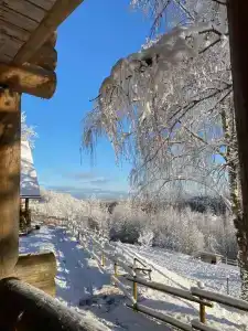 Пан-фазан - 80