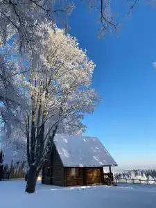 Пан-фазан - 108