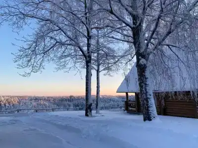 Пан-фазан - 109