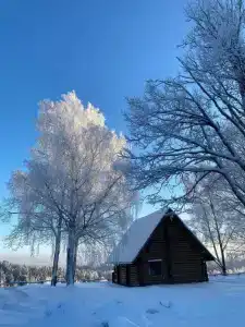 Пан-фазан - 111