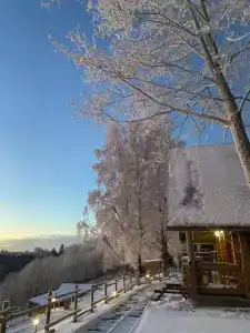 Пан-фазан - 107