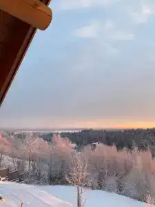 Пан-фазан - 132