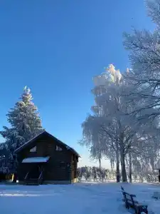 Пан-фазан - 129