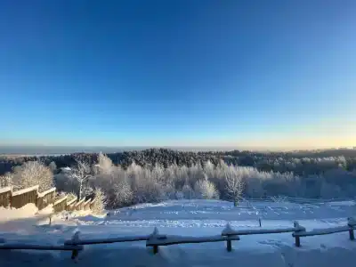 Пан-фазан - 131