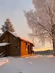 Пан-фазан - 133