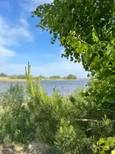 4 Сезона - Нефтяник - 3
