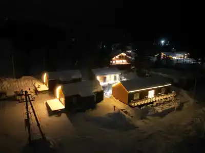 Еловый лис - 2