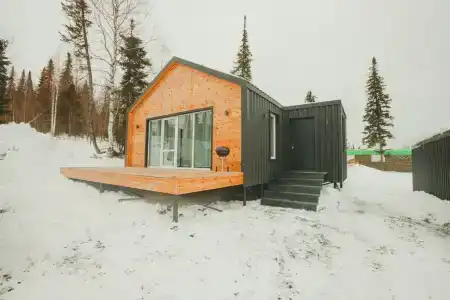 Еловый лис - 5