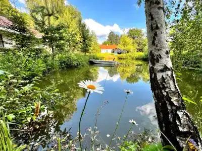 Жили-Были - 60