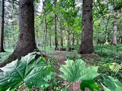 Жили-Были - 62