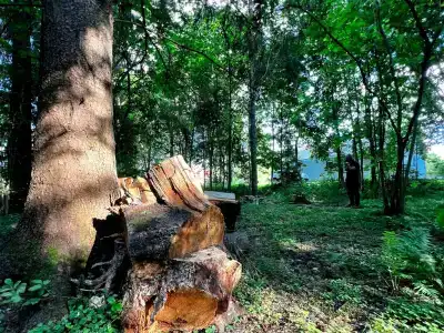 Жили-Были - 63