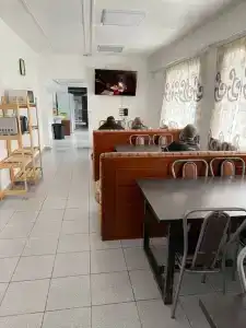 Родина - 11