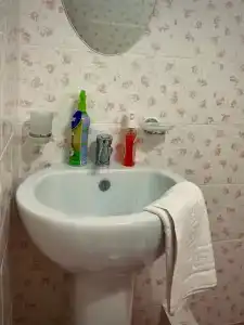 Феникс - 14