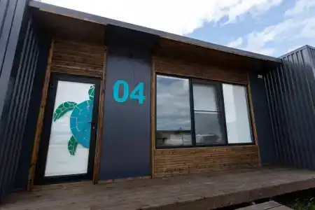 Лазурная черепаха - 1