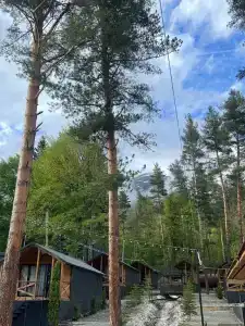 Сосновка - 18