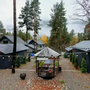 Сосновка - 40