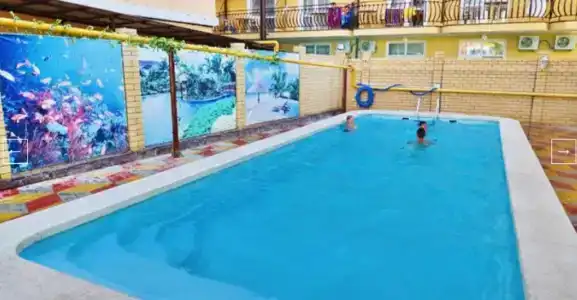 Зиридис - 1