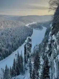 Лес Усьва - 15