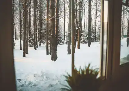 Семейный парк Чёрная Речка - 8