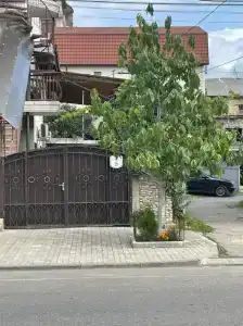 Сария на Абазинской - 13