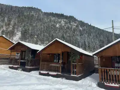 Барбарис - 0