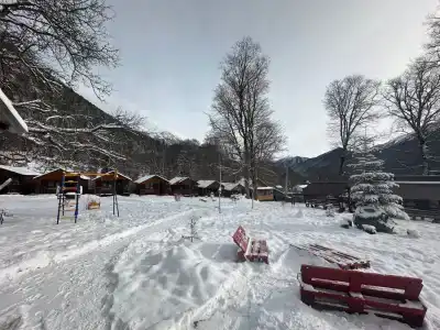 Барбарис - 3