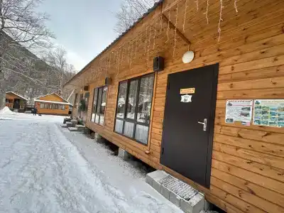 Барбарис - 4
