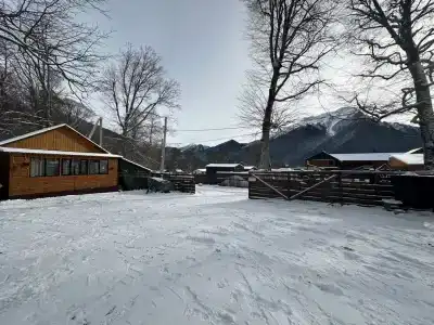 Барбарис - 6