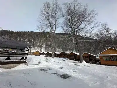 Барбарис - 7