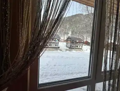 Барбарис - 8