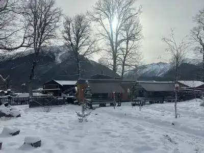 Барбарис - 9