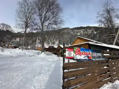 Барбарис - 10