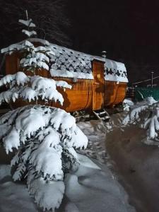 Барбарис - 13