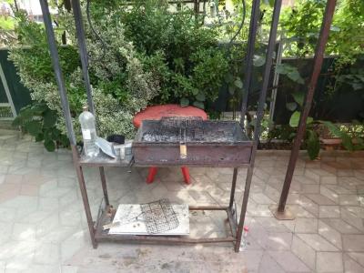 Камелия - 10