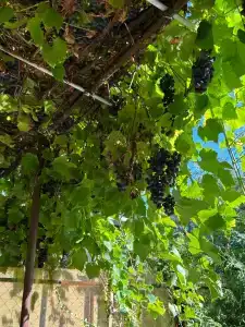 Гостевой дом у Рыбного двора - 23