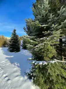 Псебай - 7