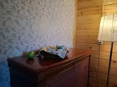 Дом у Озера Мстижа - 40