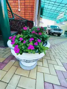Guest House na Nikolaevskoy 25 - 13