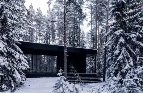 Де Ла Рей - 2