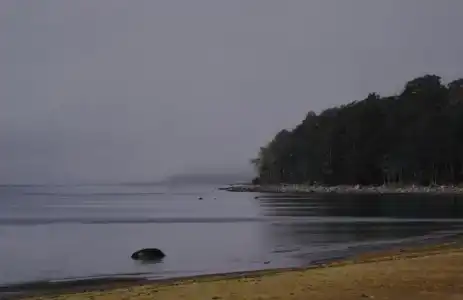 Де Ла Рей - 3