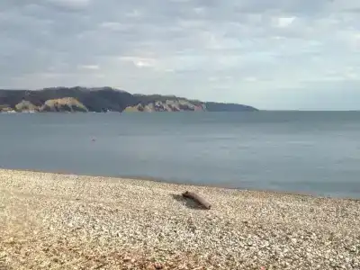 Зеленый Двор - 1