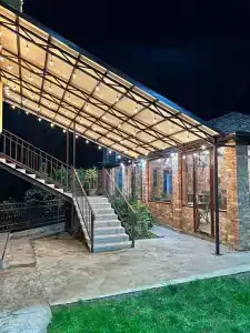 Эвкалипт - 4