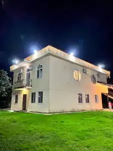 Эвкалипт - 2